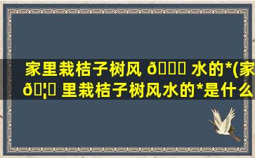 家里栽桔子树风 🐘 水的*
(家 🦋 里栽桔子树风水的*
是什么)